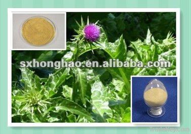 80%Silybin seed Milk Thistle Extract yellowish powder