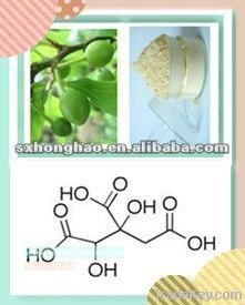 50%-60% Hydroxy citric acid(HCA) Garcinia Cambogia Extract