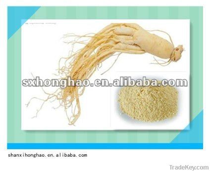 80% Ginsenosides Ginseng root extract brown-yellow powder