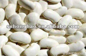 10:1 Natural 1% Phaseolamin White Kidney Bean Extract