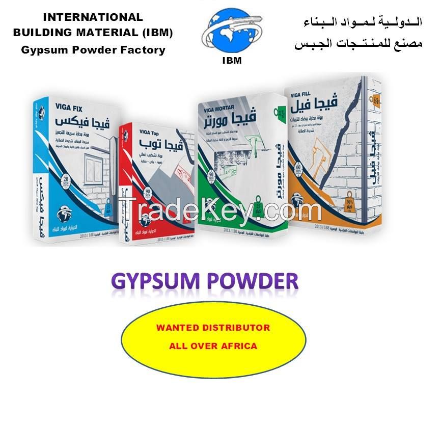 Gypsum Powder 