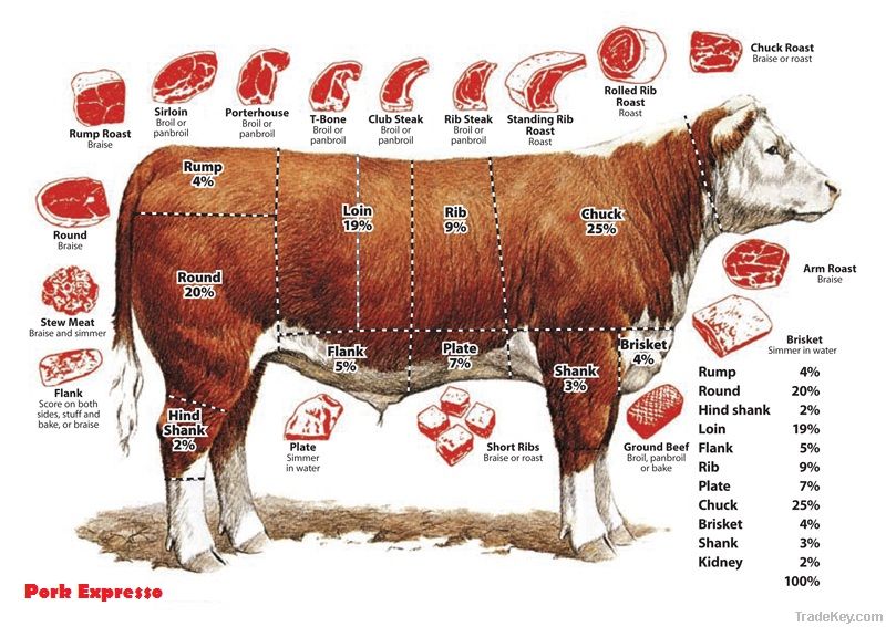 Beef Exporter From India