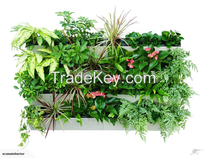 Outdoor/Indoor Self Watering Vertical garden 