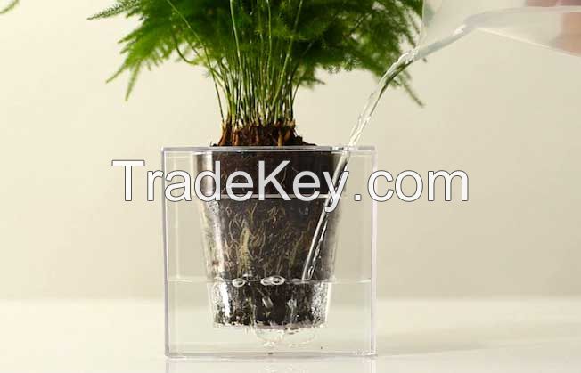 Water Cube Plant Pot