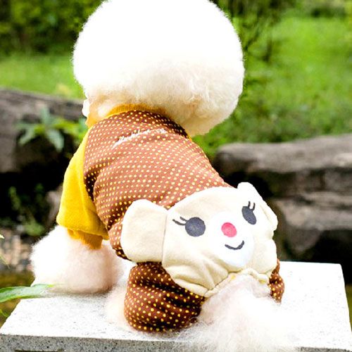 Brand Cheap Supernova Sale Plus Size Autumn And Winter Beow Couples Bear Dog Clothes From upetmart.com