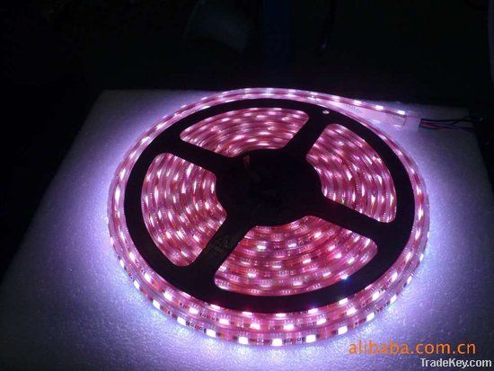 Cheap Led Strip Light