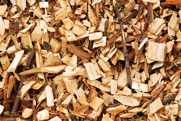  Wood Chips     