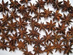 Star aniseed