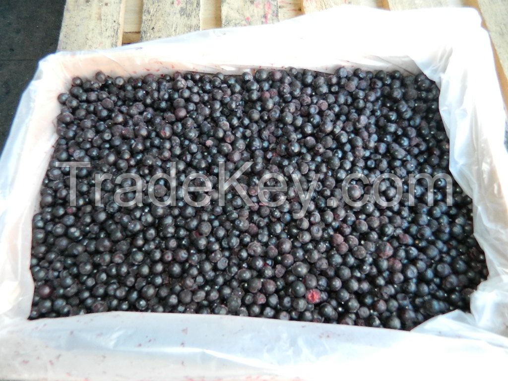 IQF Blueberries