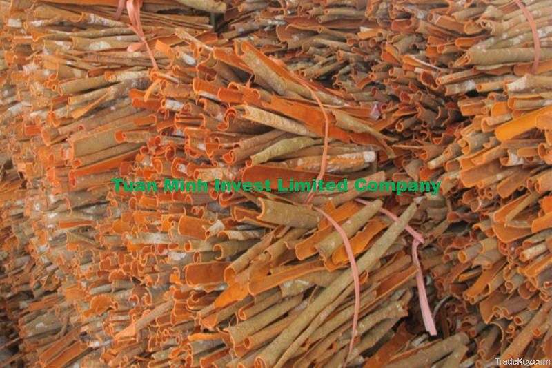 Vietnam Cassia Split lenght 40-45cm