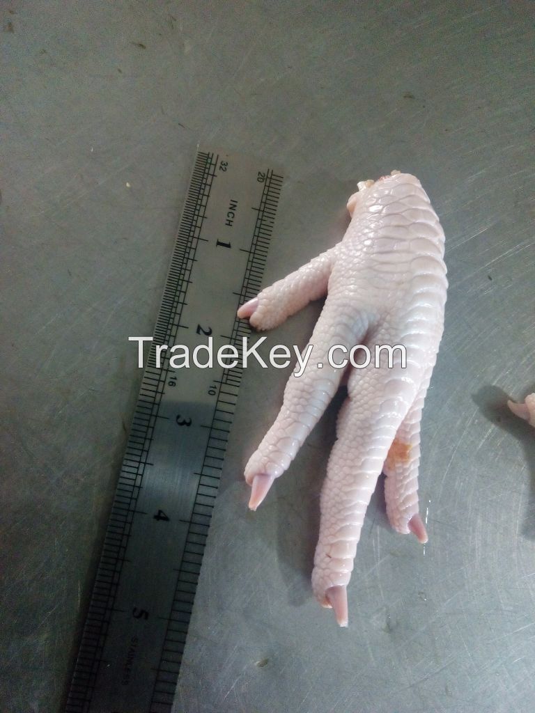 Frozen Chicken Paws and Feet offer from Turkey,Pakistan.