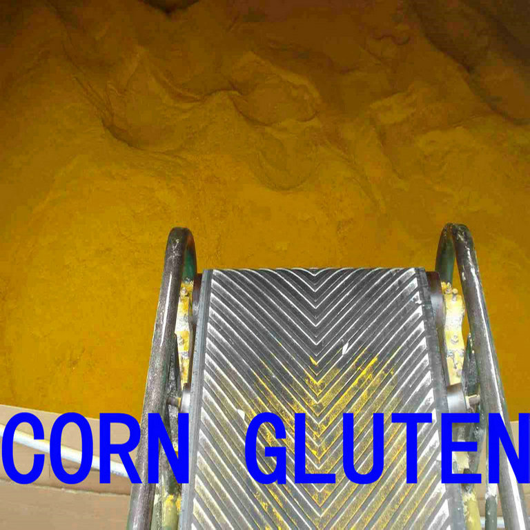 Corn Gluten Meal & Corn Gluten Feed
