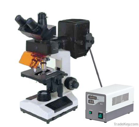 Fluorescent biological microscope