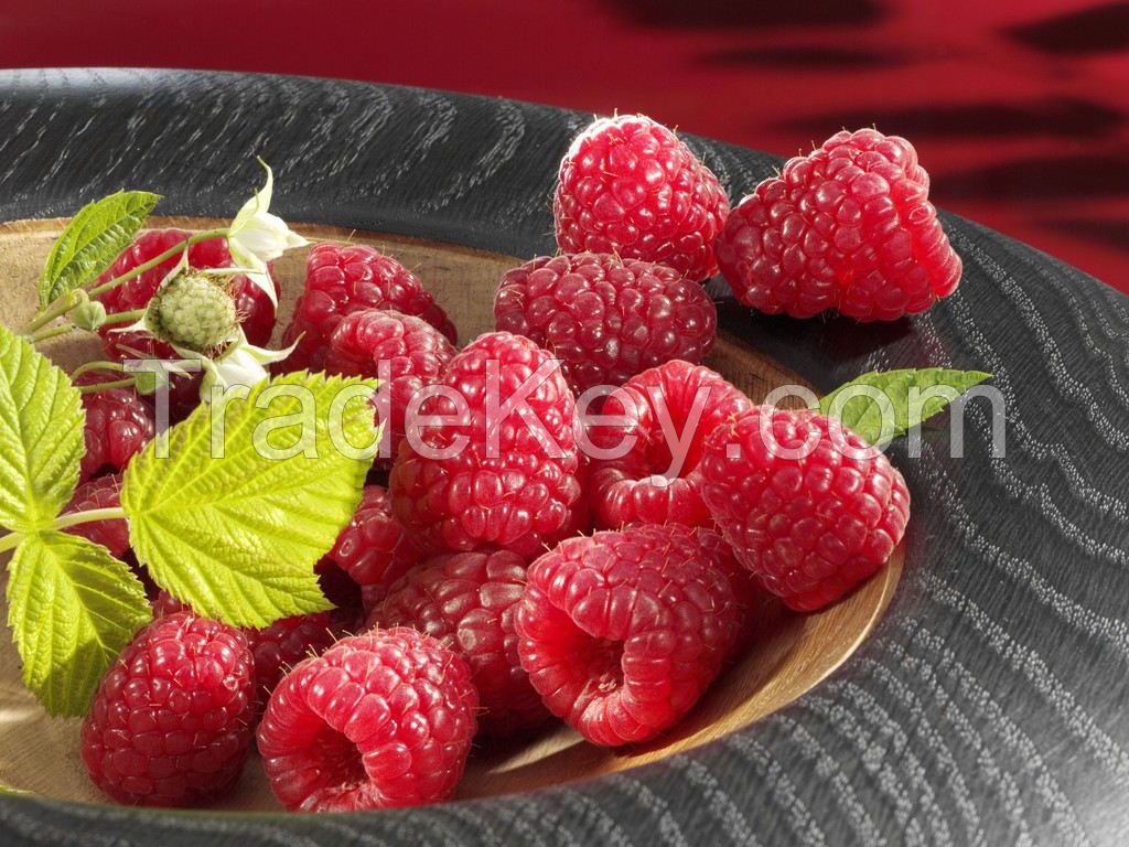 Raspberry Fruit Powder