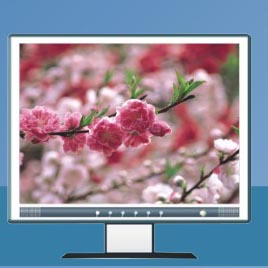 Sell LCD monitor