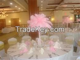 Quality Ostrich Feathers For Centerpiece And Duster.