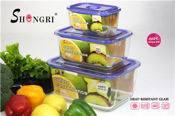 rectangle heat resistant glass food storage container