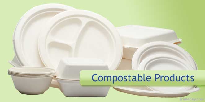 Sugarcane Fiber Disposable Plates	