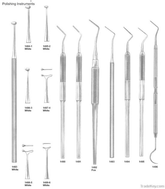 Burnishers And Pocket Probes Scalers