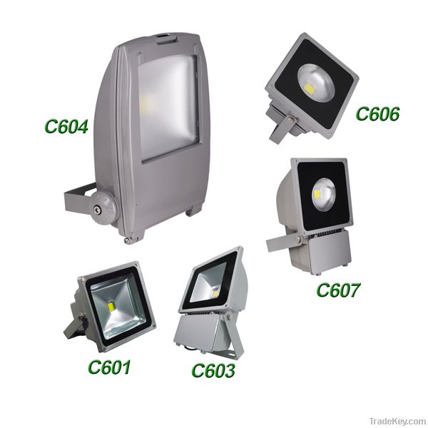 LED Flood Light