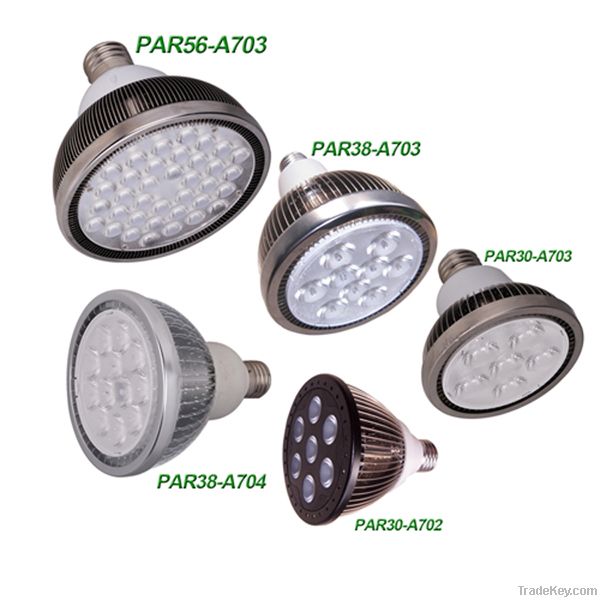 LED PAR Light