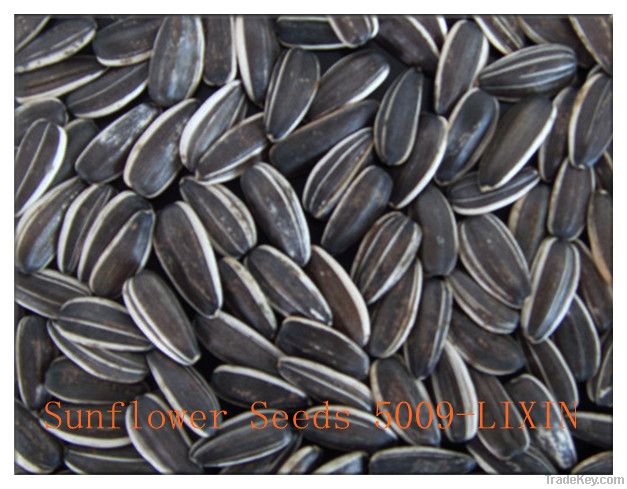 2012 New crop American Sunflower Seeds 5009