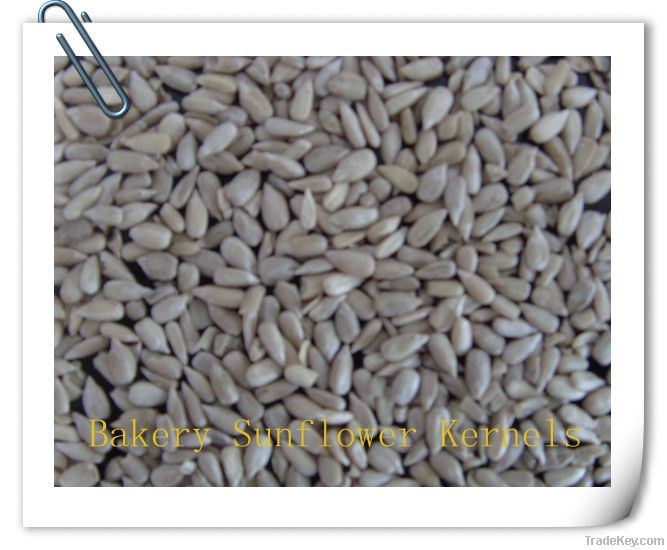 Confectionary/Bakery sunflower seeds kernels