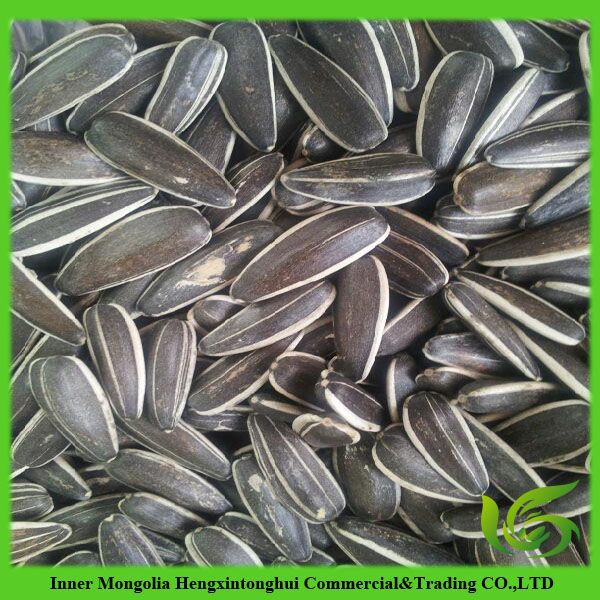 Sunflower seeds in high quality 2013 new crop