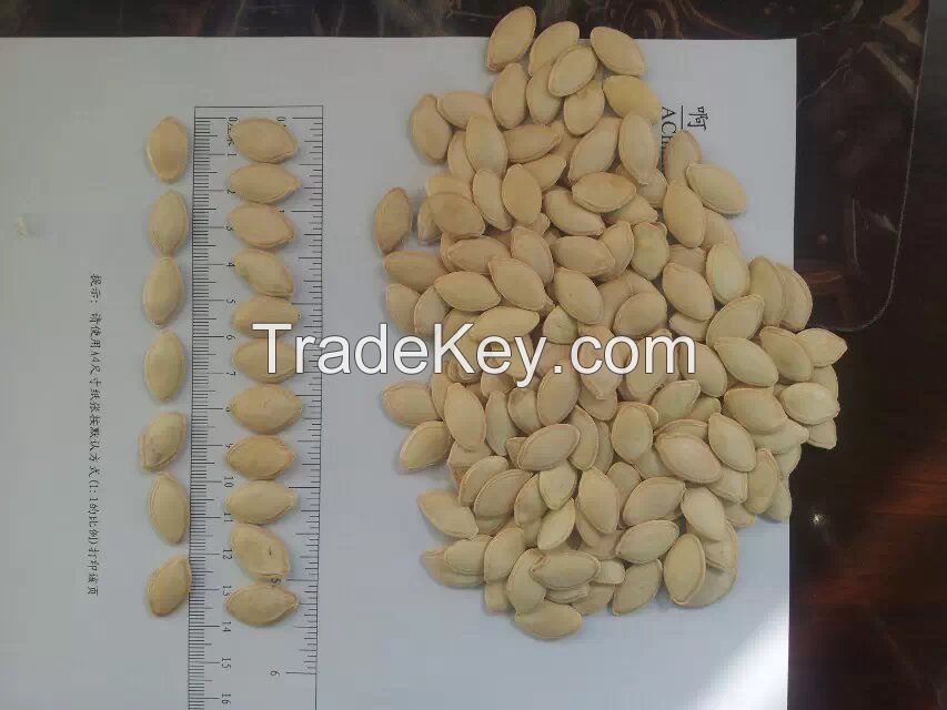 Shine skin pumpkin seeds 10-11mm of 2014 new crop