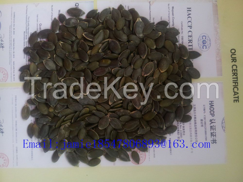 GWS Pumpkin seeds of 2014 new crop with GMO free