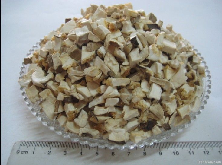 cap grains of shiitake mushrooms