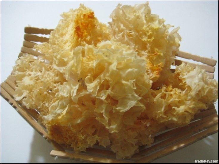 Dried tremella, white fungus