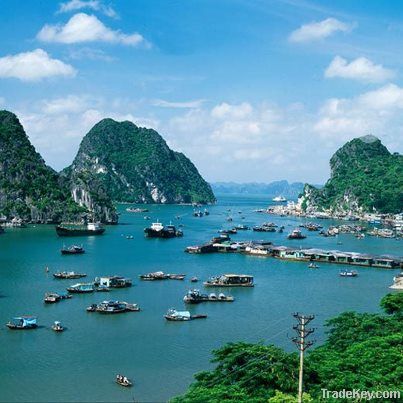 Trip to Halong bay, Visit Halong bay with cruise