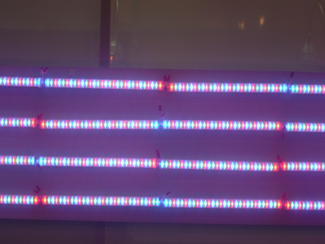 LED module