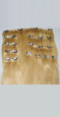 Clip In Hair Extensions