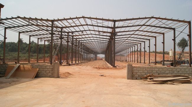 Steel Structure Building (Multi Span)