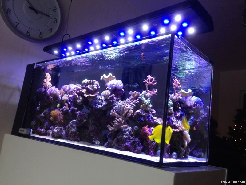 led aquarium light
