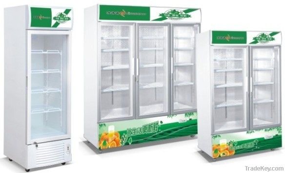 Single door Fruit and Vegetable Upright freezer