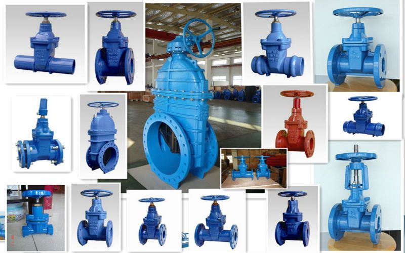 Resilient seated gate valve