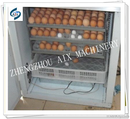 Automatic Egg Incubator