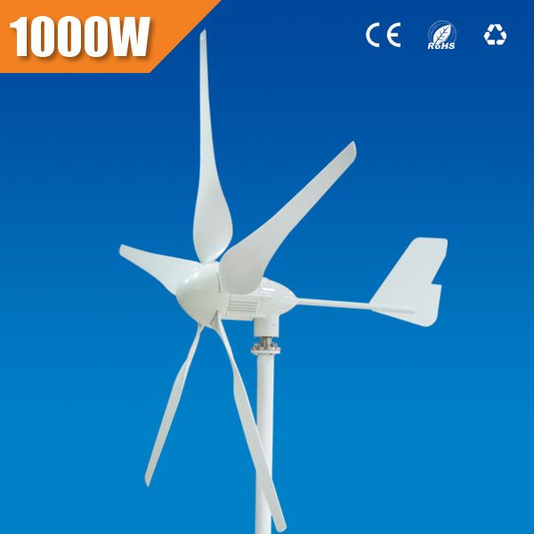 1 kw wind mill