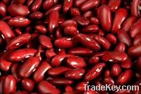All Types Kidney Beans
