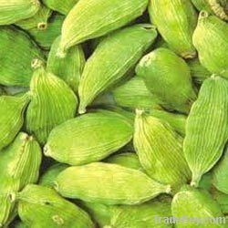 Green Cardamom Seeds