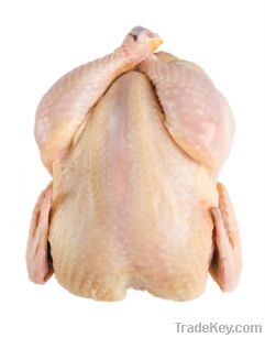 FROZEN HALAL WHOLE CHICKEN