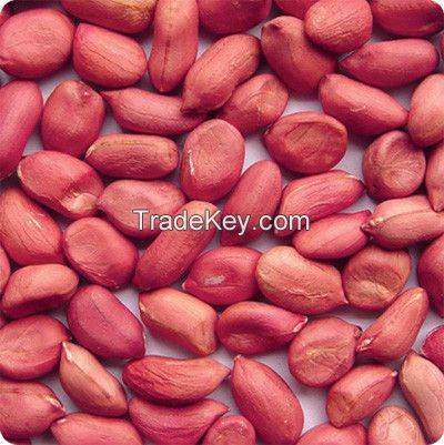 Red Skin Peanut Kernels South Africa