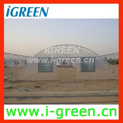 Economical Plastic Film GreenhouseWL9248