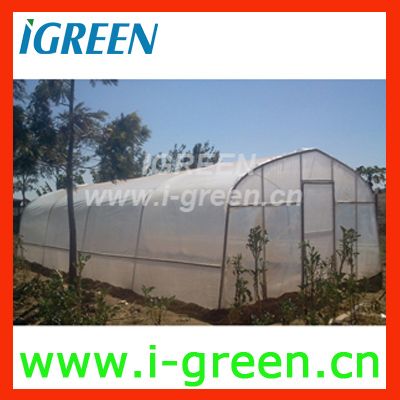 Agricultural Single Span Vegetable GreenhouseWL8132