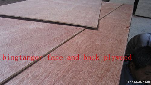 The Middle East market hardwood core plywood