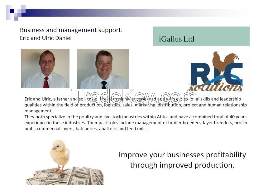 Business and management support.
