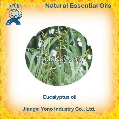 Chinese Eucalyptus oil 80% Wholesale Price Supplier